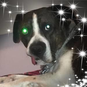 Meet your Posher, Katy